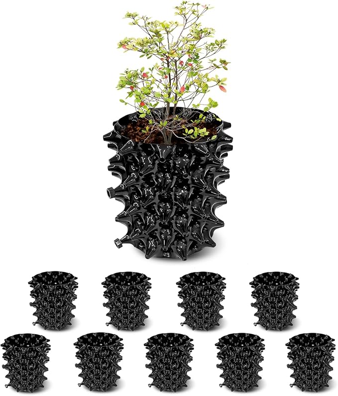 Haveers Gallon Air Pruning Containers, New Plastic Nursery Pots, Fruit Vegetable