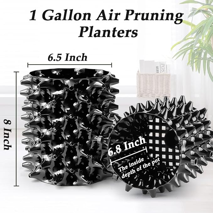 Haveers Gallon Air Pruning Containers, New Plastic Nursery Pots, Fruit Vegetable