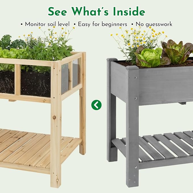 Havers Raised Garden Bed with Transparent Acrylic Panels, Elevated Wooden Raised