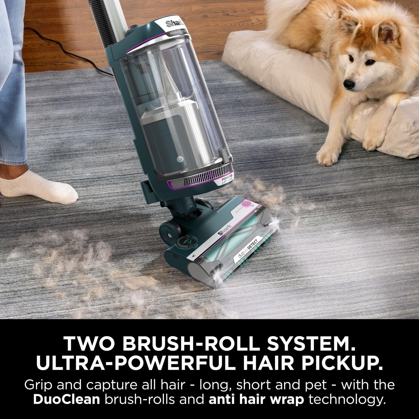 Shark PowerDetect Corded Upright Vacuum Cleaner with DuoClean Detect, Reverse Clean, Anti Hair Wrap Plus, Allergen Seal, Anti-Odour, Pet, Crevice & Multi-Surface Tools, Portable, 750W, 1.3L AZ3900UKT