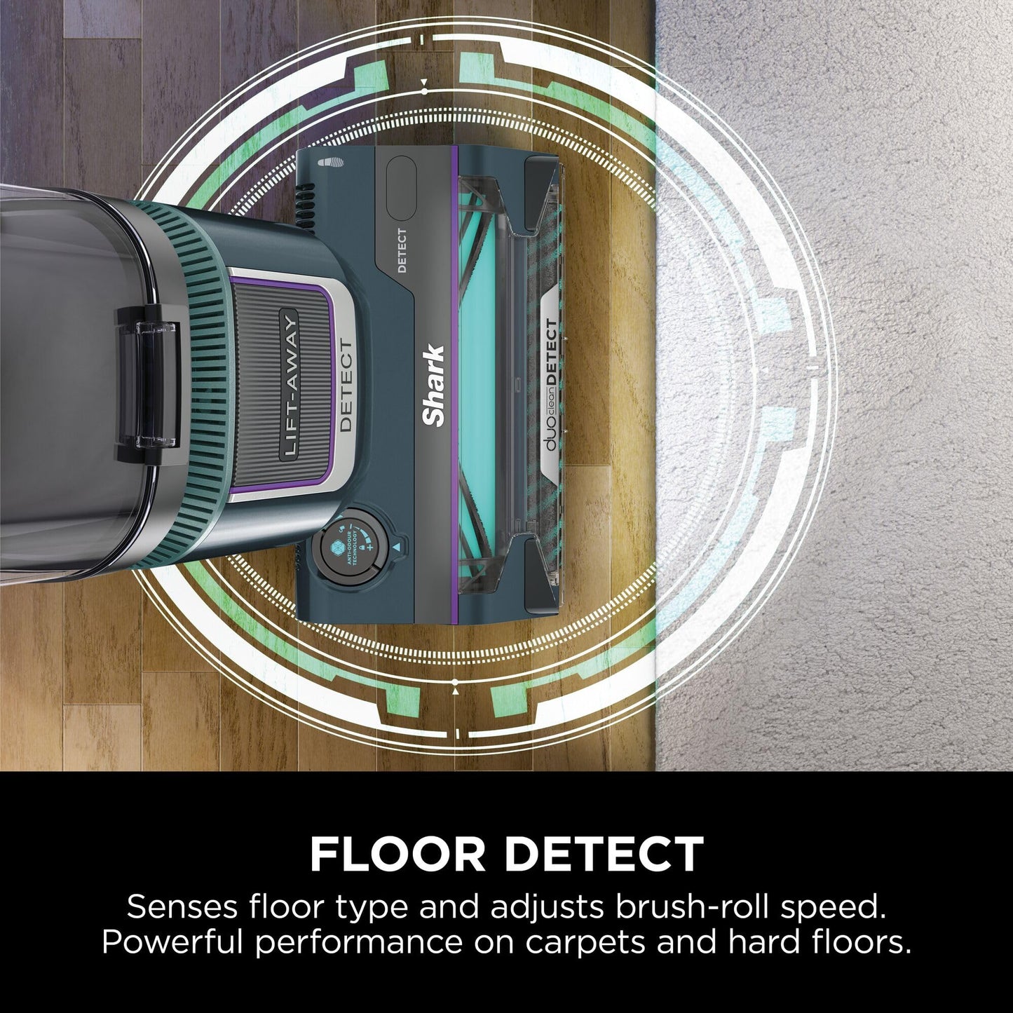 Top-down of DuoClean Detect head bridging wood floor and carpet with floor‑detect sensor graphics