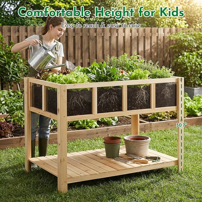 Havers Raised Garden Bed with Transparent Acrylic Panels, Elevated Wooden Raised