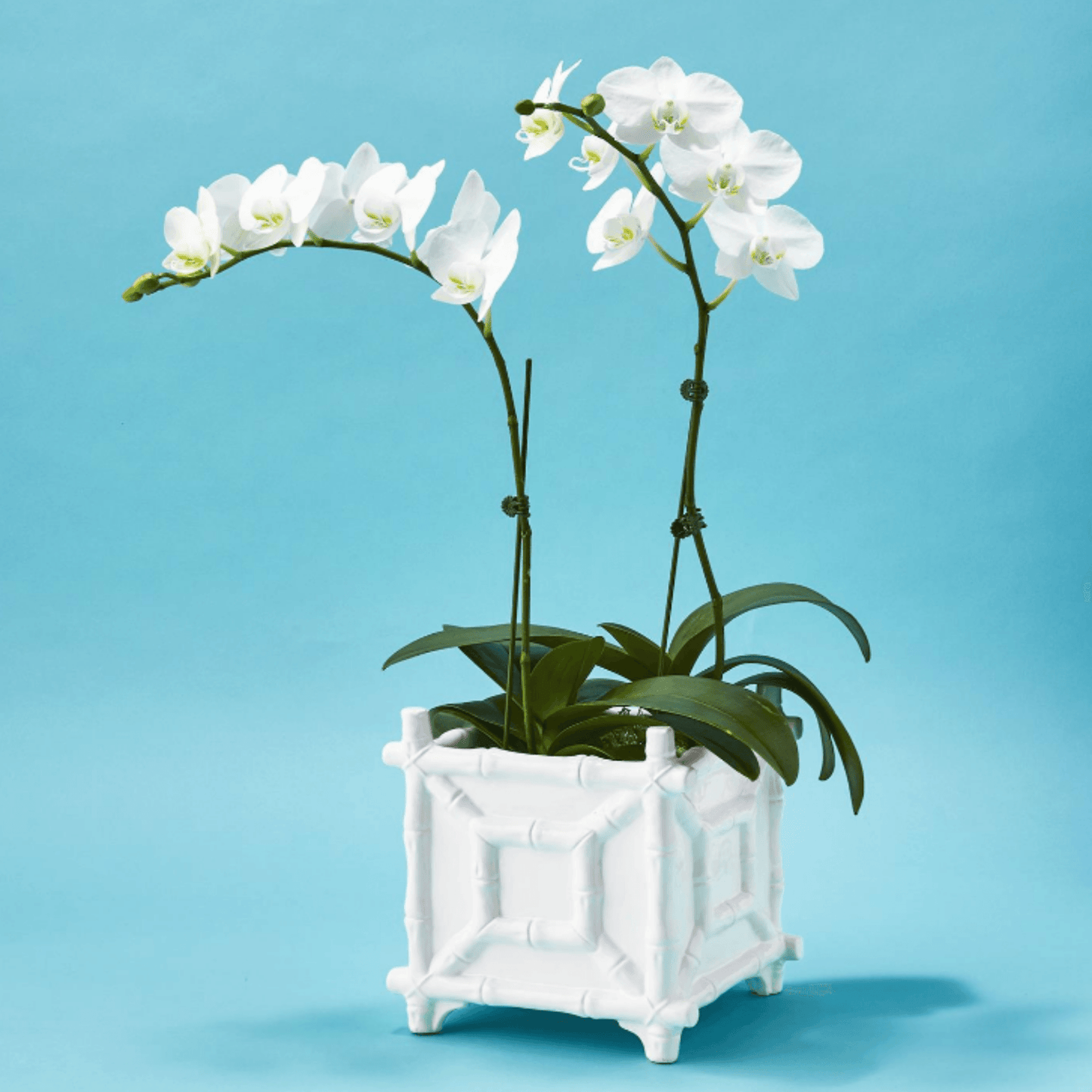 White Ceramic Faux Bamboo Fretwork Cachepot